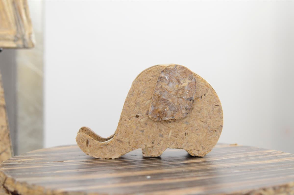 Biodegradable Toys